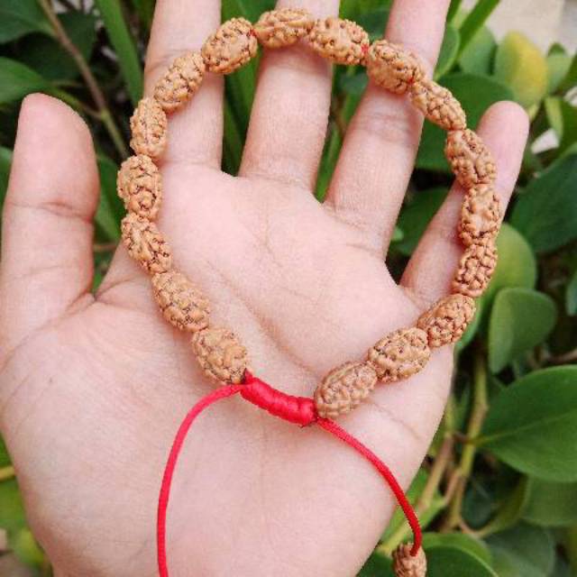 Gelang jenitri mukhi 2 original rudraksha