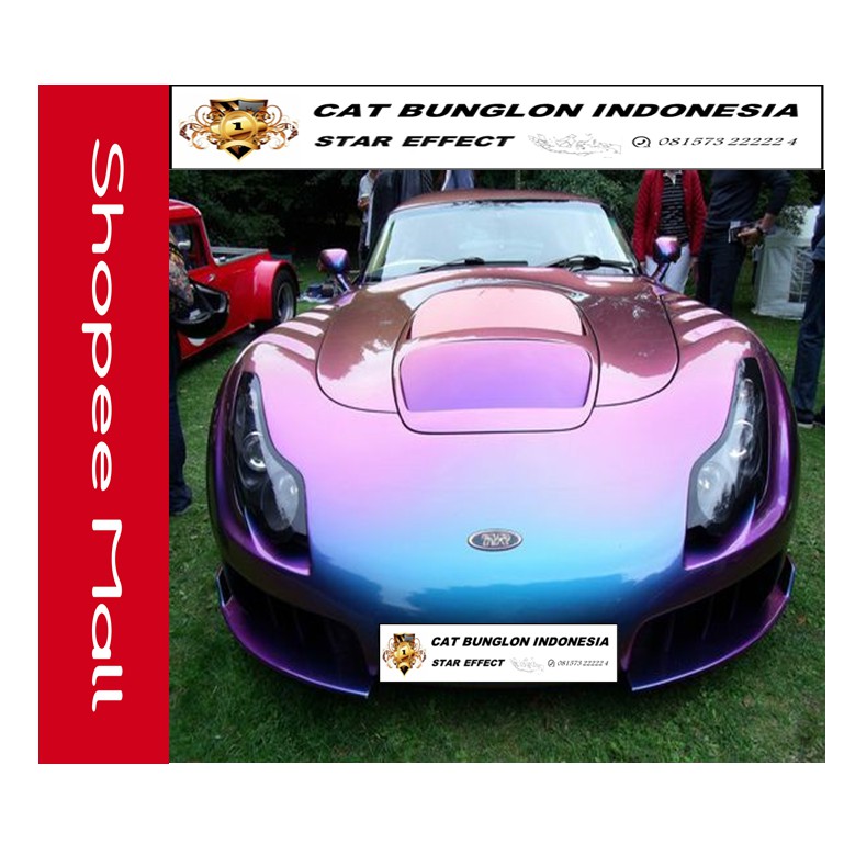 CAT BUNGLON 3 WARNA 100 ML