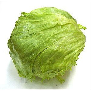 Sayur Segar Selada Iceberg Shopee Indonesia