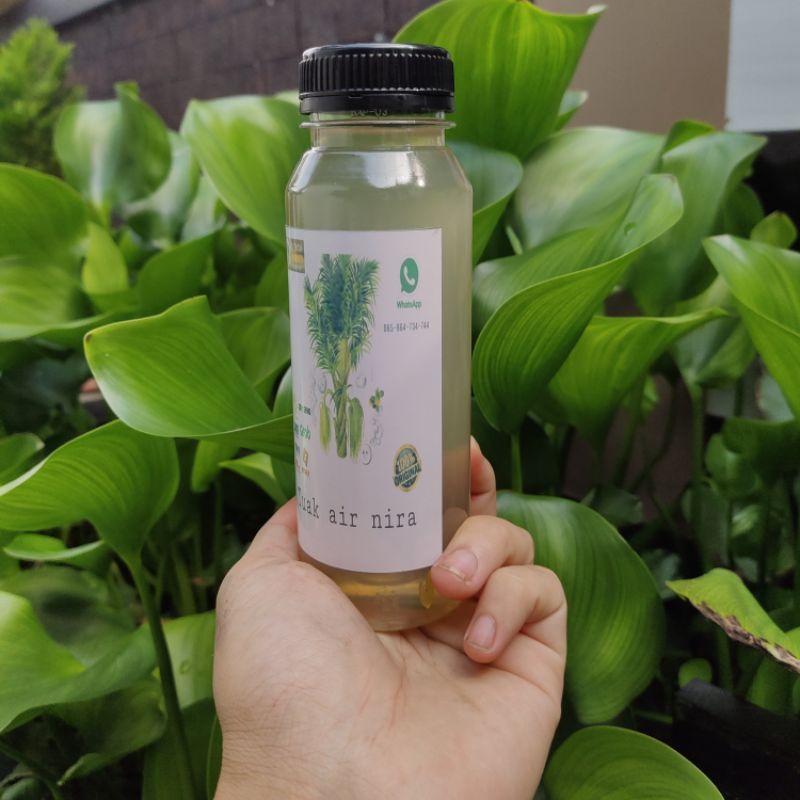 

jual air nira murni 250 ml air aren original