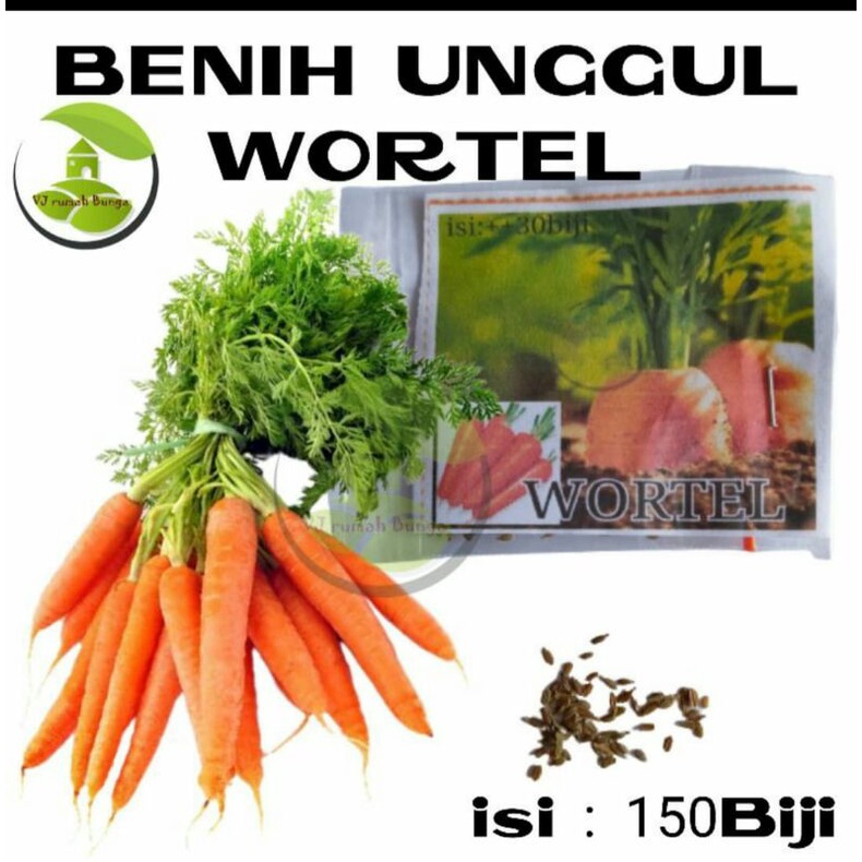 benih bibit sayuran wortel