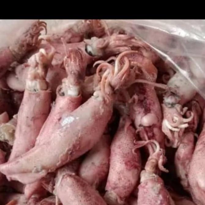 

[COD] cumi asin [COD]