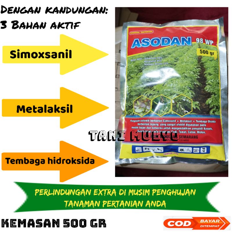 FUNGISIDA ASODAN 98 WP 500GR 3 BAHAN AKTIF