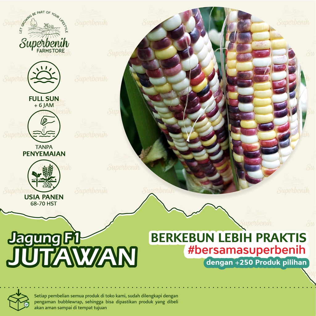 10 Biji - Benih Bibit Jagung Pelangi JUTAWAN F1 cap panah merah