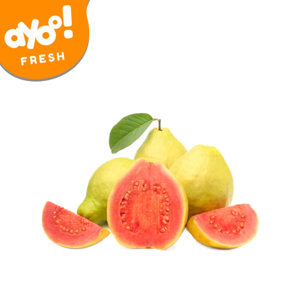 

Jambu Biji Merah 1 Kg