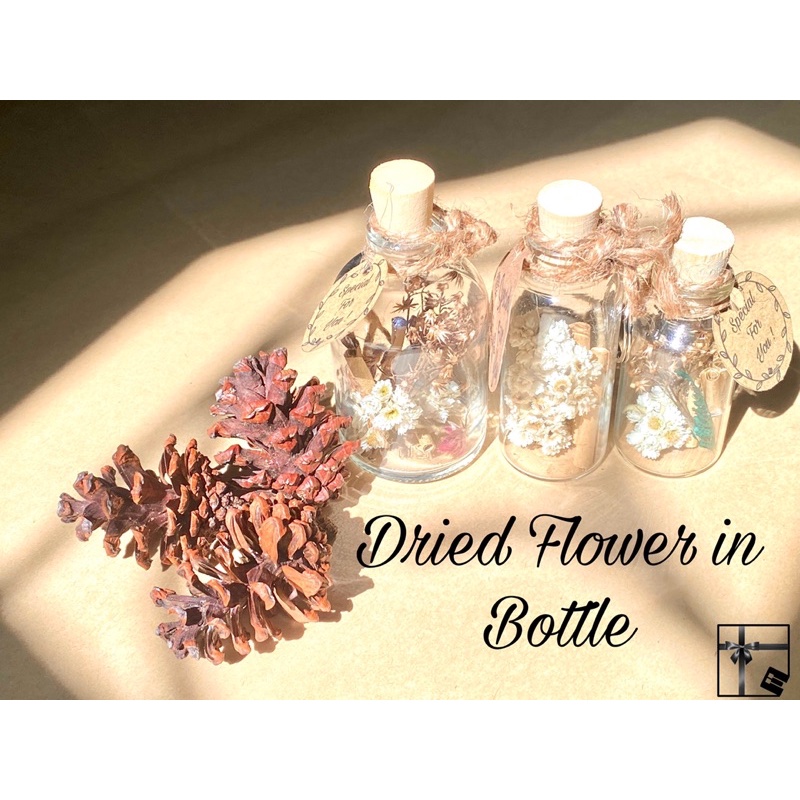 Dried Flower in Bottle / Wish in jar Surat Dalam botol