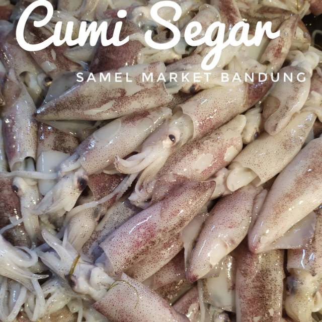 

Ikan Cumi Basah Segar 500 gr