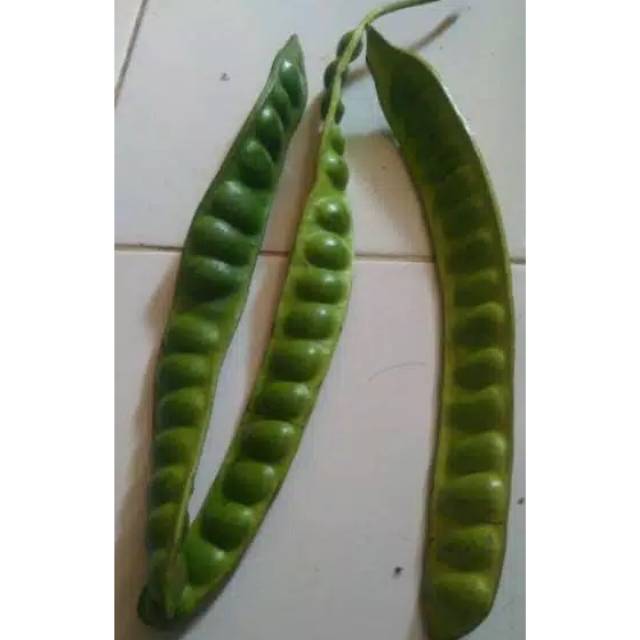 

Petai