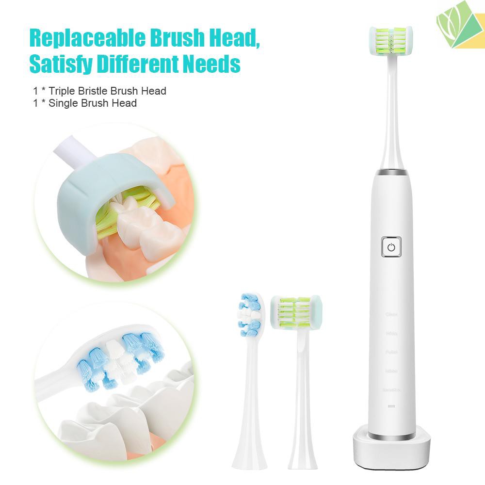 triple bristle replacement heads