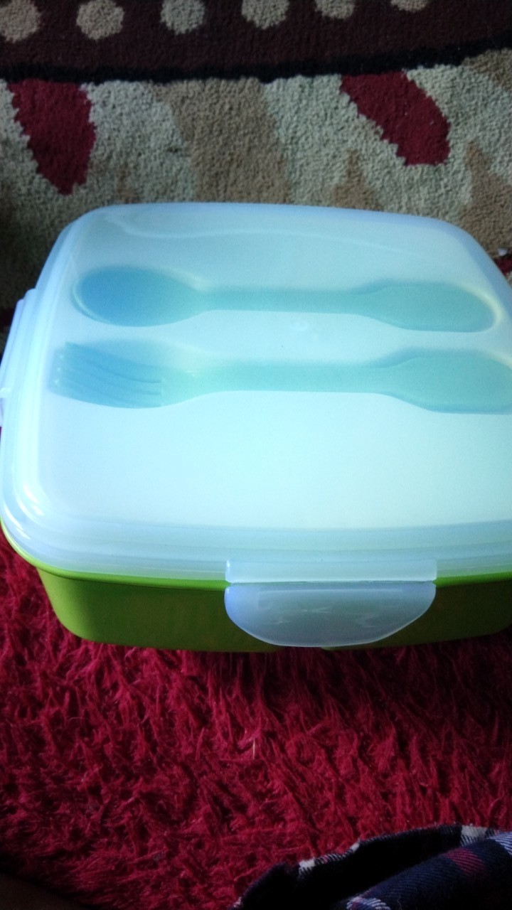 Kotak Makan / Golden Sunkist Lunch Box