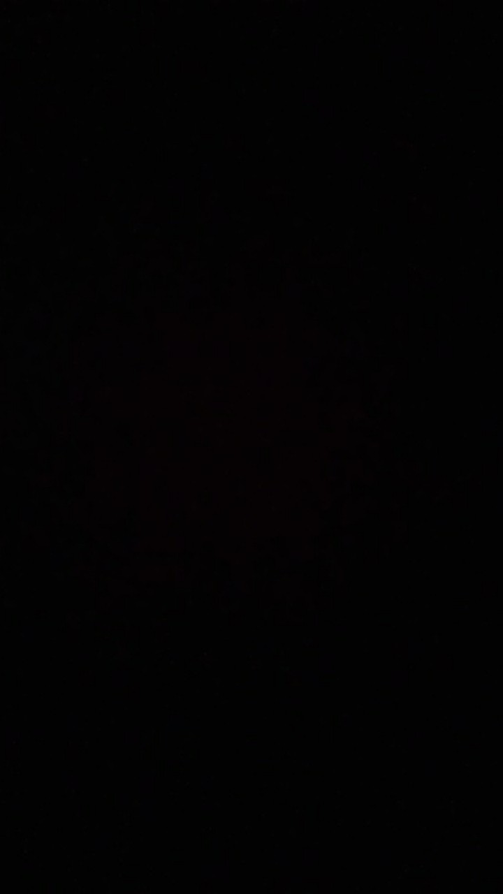 Sprei Maron Monstera/ Tulip Green/ Pony Rainbow/ Big Rose Homemade