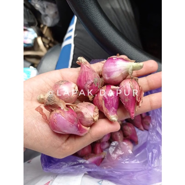 

Bawang Merah