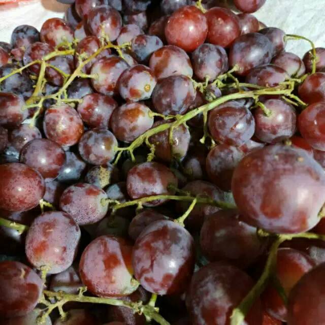

Puri Segar Shop, Buah Anggur Merah 500 Gr