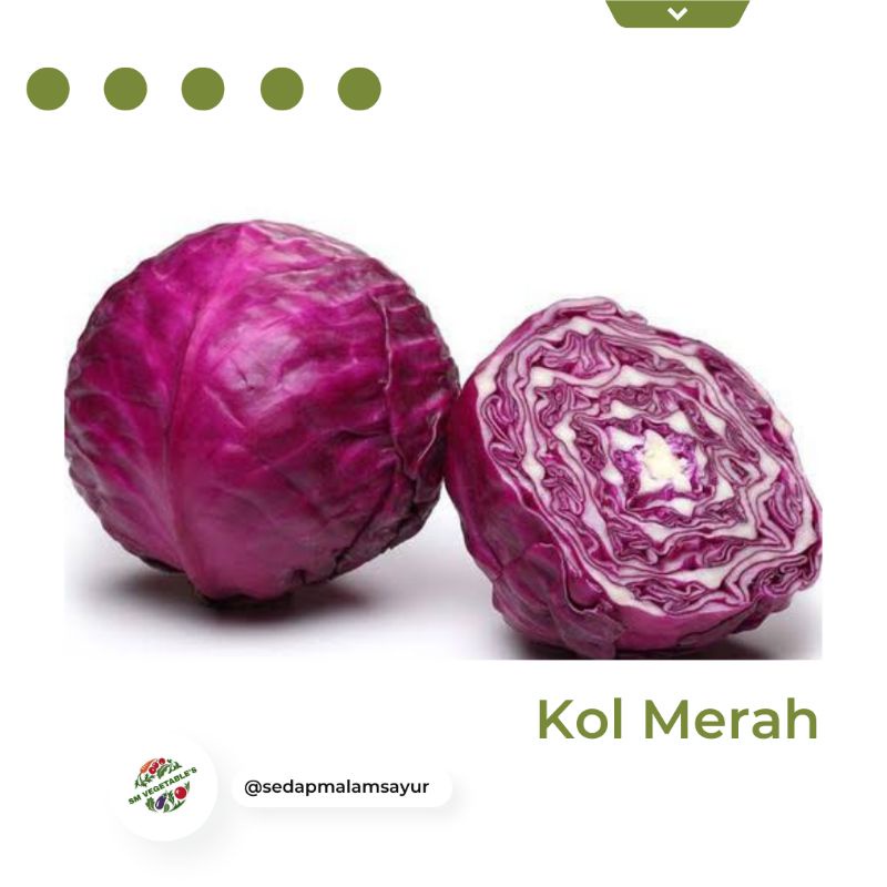 

KOLMERAH500gr/KUBISMERAH500gr/KUBIS500gr