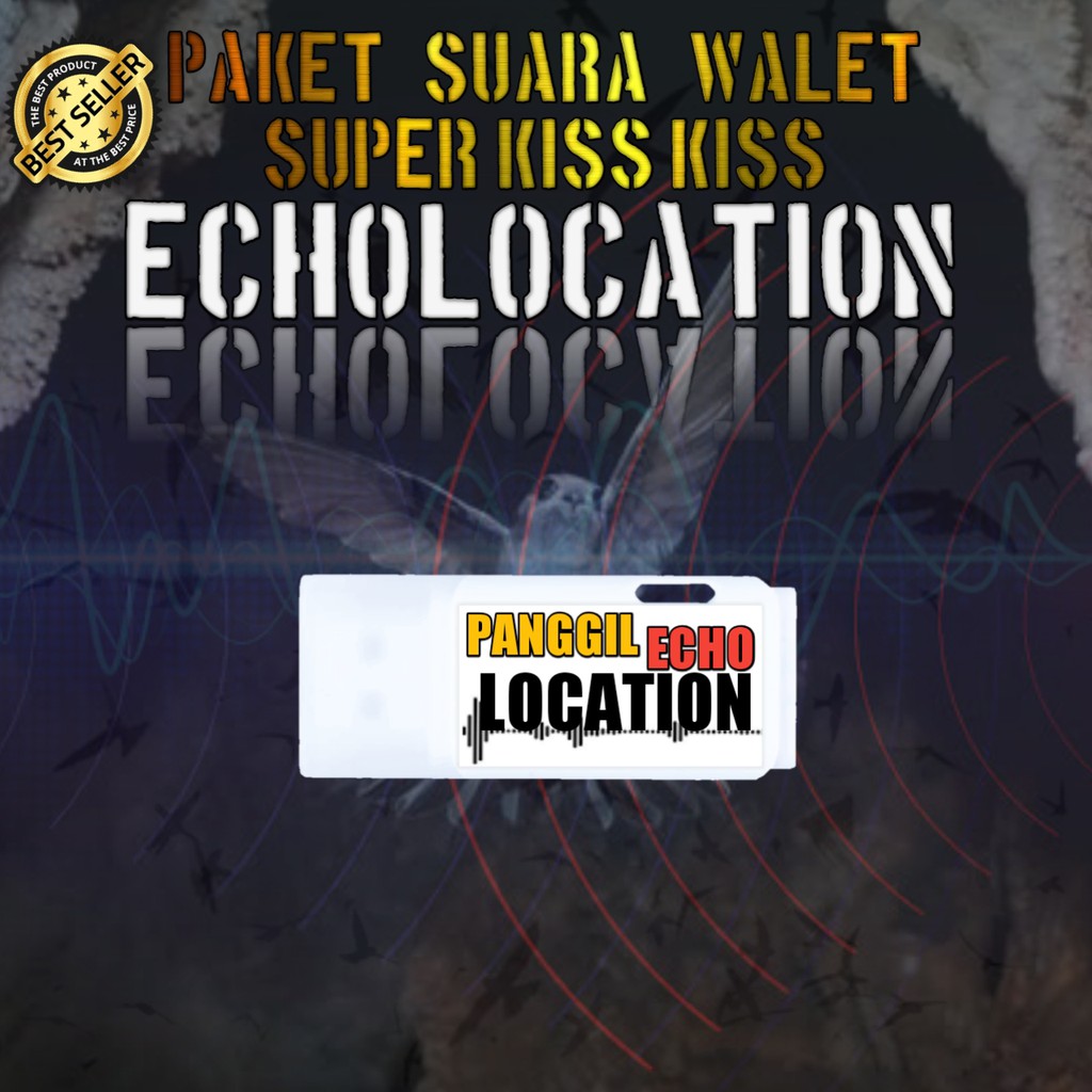 Paket Suara Walet Echolocation Original Respon Kiss | Suara Walet Panggil Tarik dan Inap