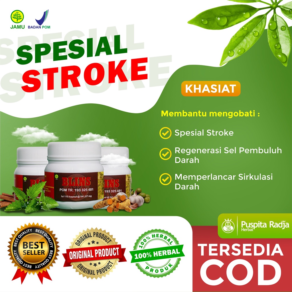 Blins Obat Stroke Puspita Radja Herbal