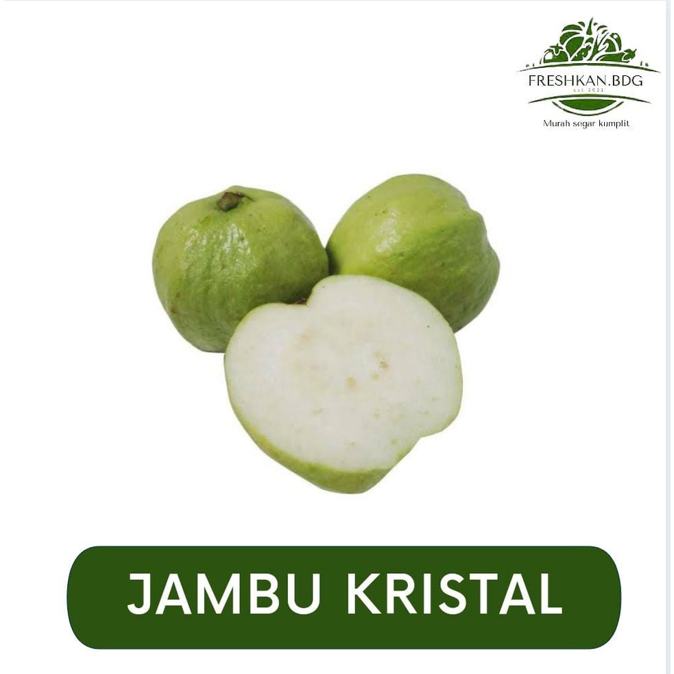 

JAMBU KRISTAL BUAH SEGAR FRESHKAN.BDG