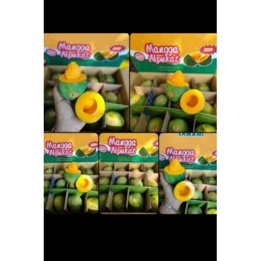 

mangga alpukat
