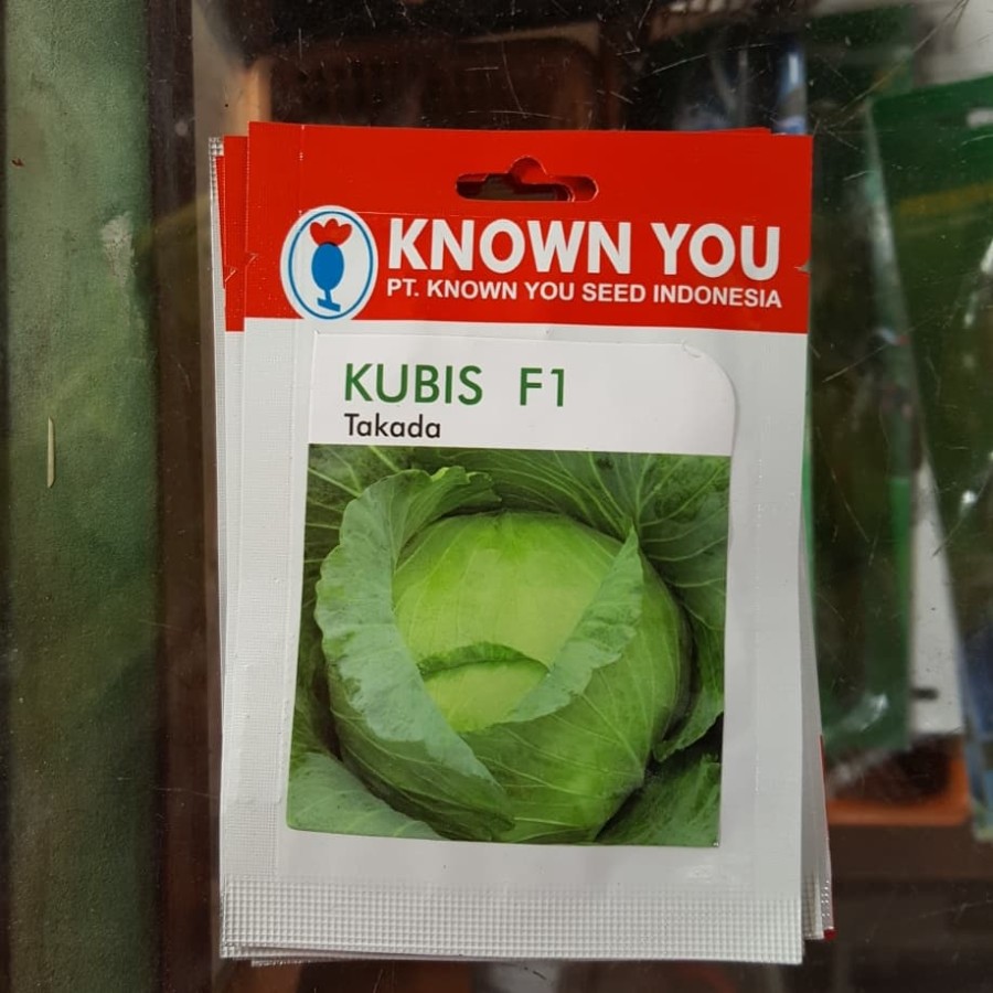 benih / bibit KUBIS F1 TAKADA (Known You Seed)