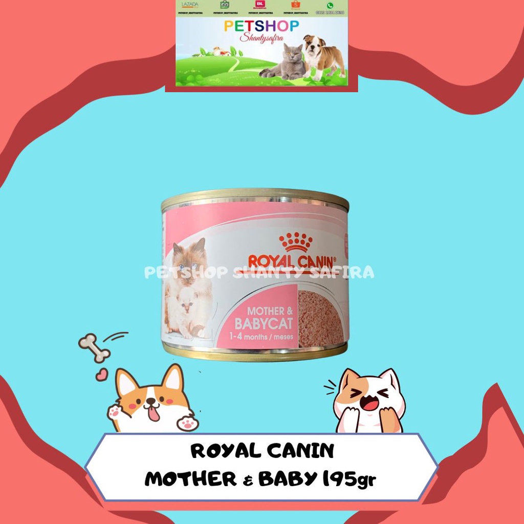 Royal Canin Mother &amp; Baby Cat 195 GR KALENG /RC MB DRY 400 GR