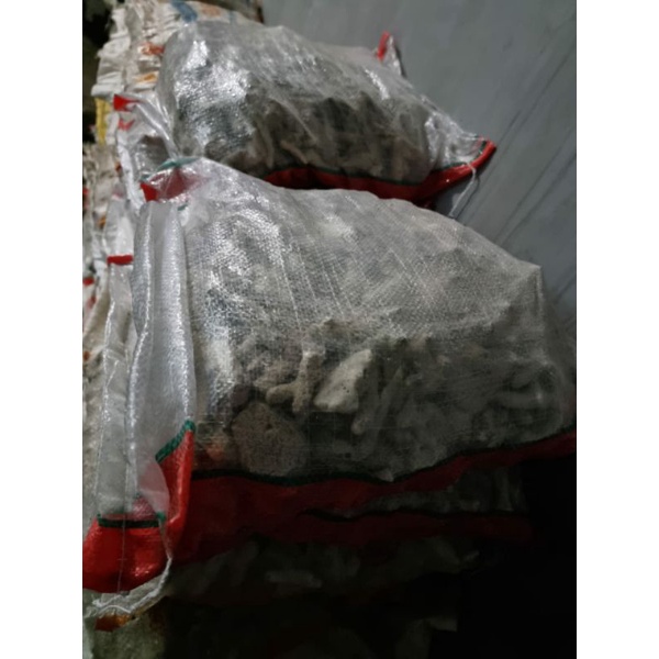 Karang Jahe / media filter aquarium kemasan 10 kg