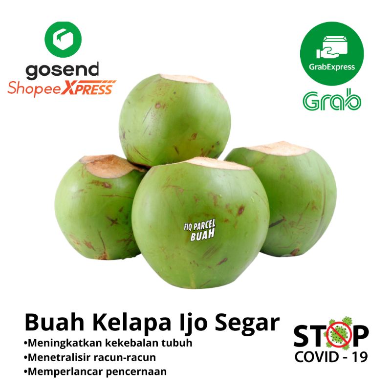 

Buah Kelapa Ijo Segar / Kelapa Hijau / Untuk Orang Sakit