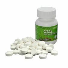 ISTA CO2 TABLET aquascape aquarium botol 100pcs