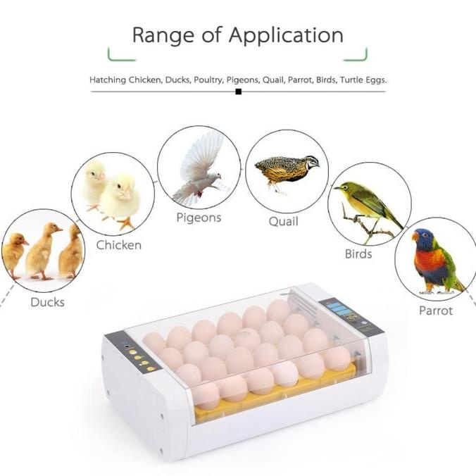 24 egg Incubator Penetas Telur HHD 24 Full Automatis