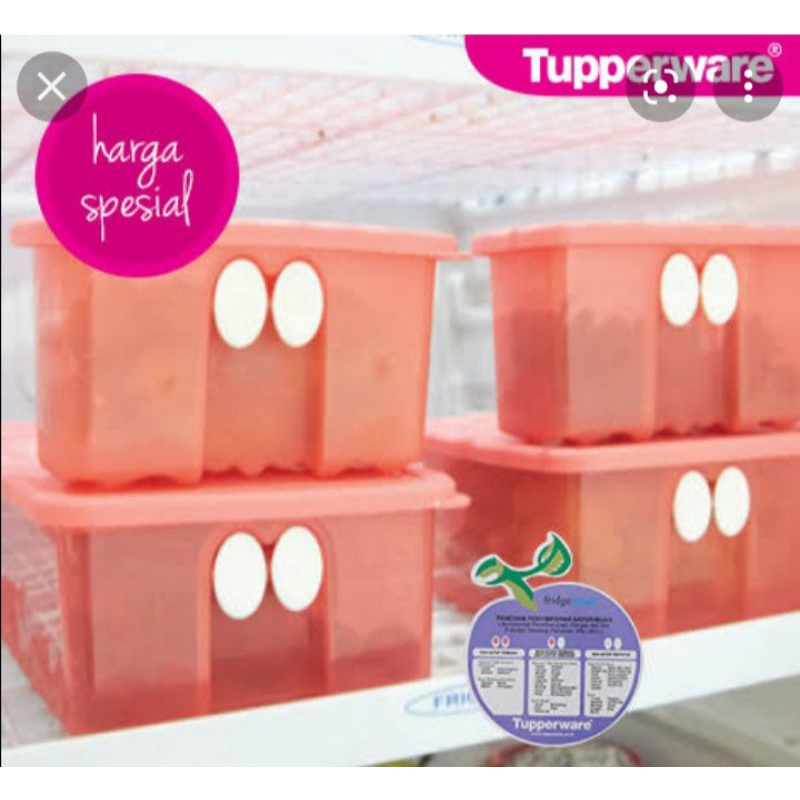 mini fridgesmart (2)