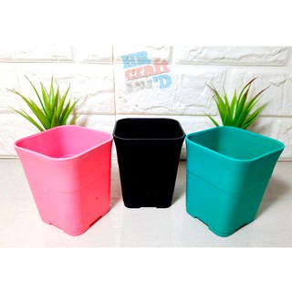  Pot  Kotak  SOFI 8 CM TEBAL Kaktus Sukulen TOSCA PINK HITAM  