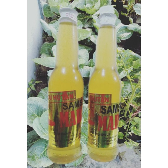 

Madu murni Sm