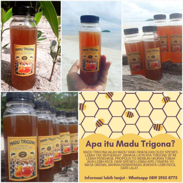 

MADU TRIGONA HUTAN ASLI 100% 250ML