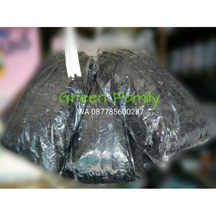 

Tali Gantungan Hangtag Label - Tali Lock Best Quality
