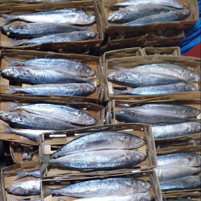 

ikan cue/cuek layang segar isi 2 perkranjang & isi 3perkranjang