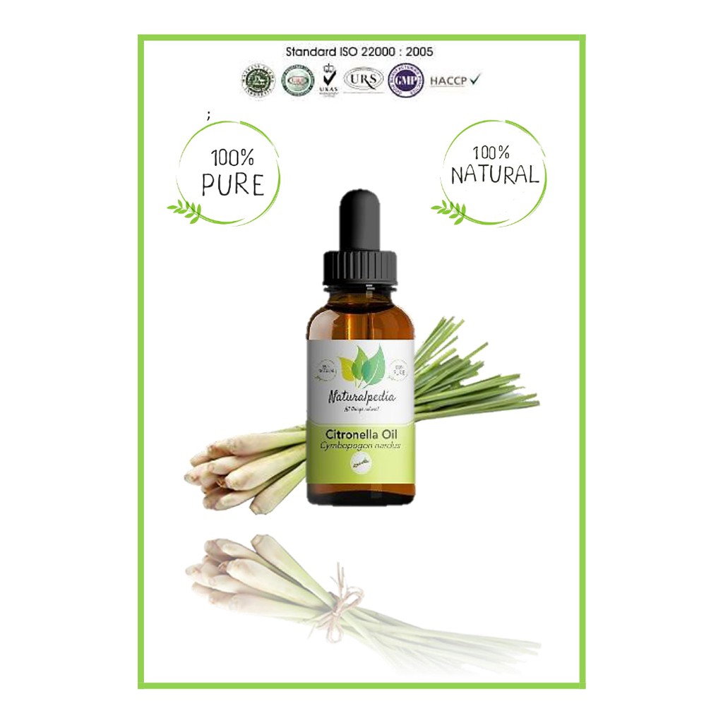 Pure Citronela Citronella Essential Oil 30ml / Minyak Atsiri Esensial Serai Sereh Wangi Asli Murni