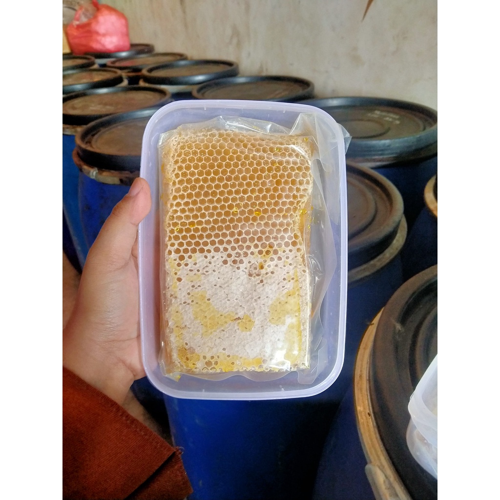 [500gr] Sarang Madu / Madu Sarang Lebah Mellifera Asli 100%