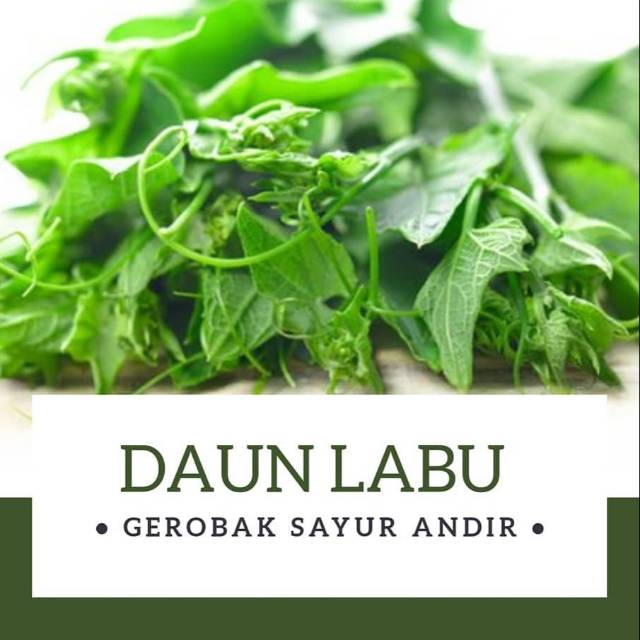 

Daun Labu /ikat