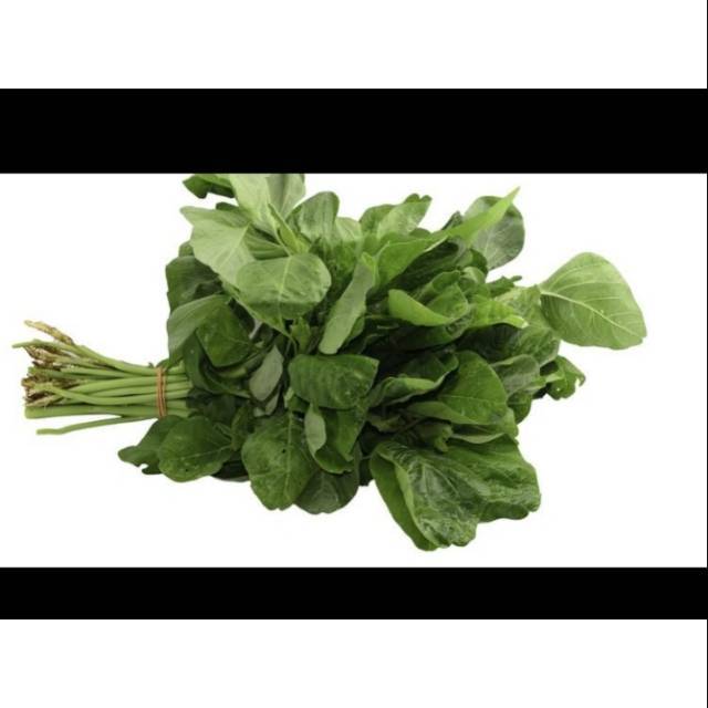 

Sayur Bayam Segar