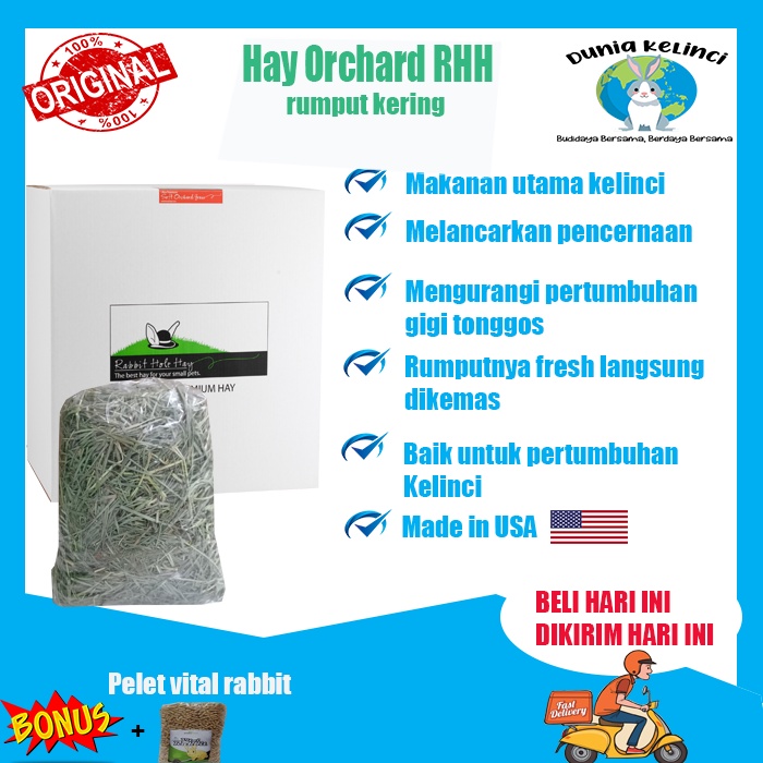 Hay Orchard 250 gr Makanan Kelinci Rabbit Hole Hay Rumput Kering