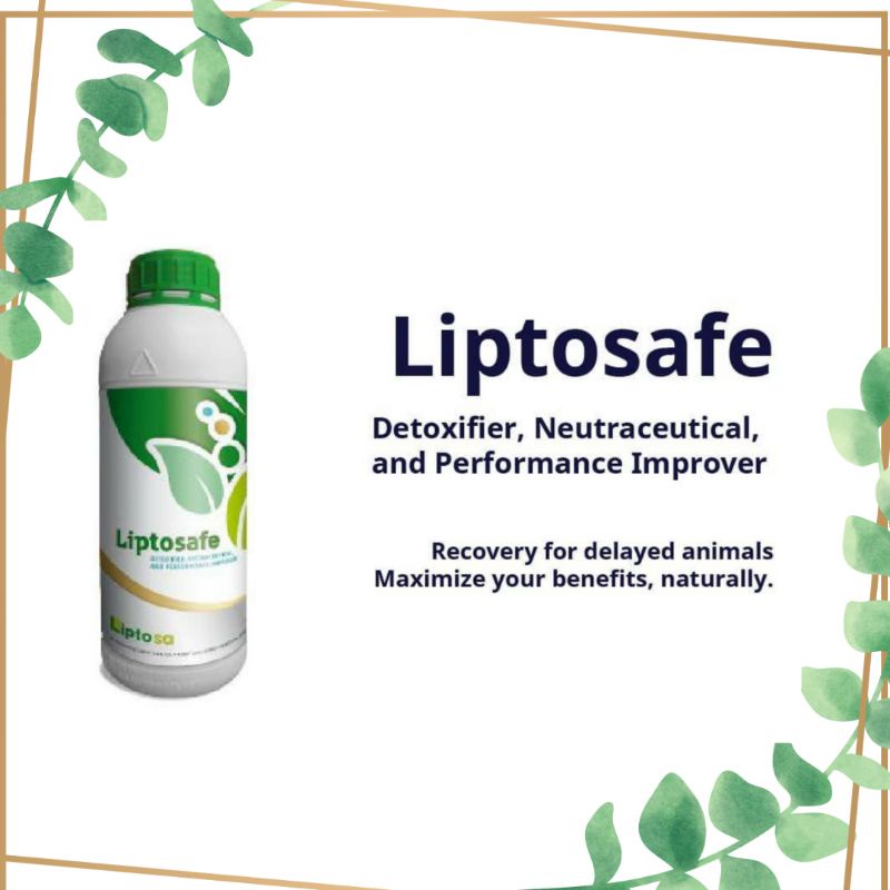 Liptosafe-L Pemacu Pertumbuhan Nutrient Booster Ayam Broiler/Layer/Pejantan/Joper/Kampung