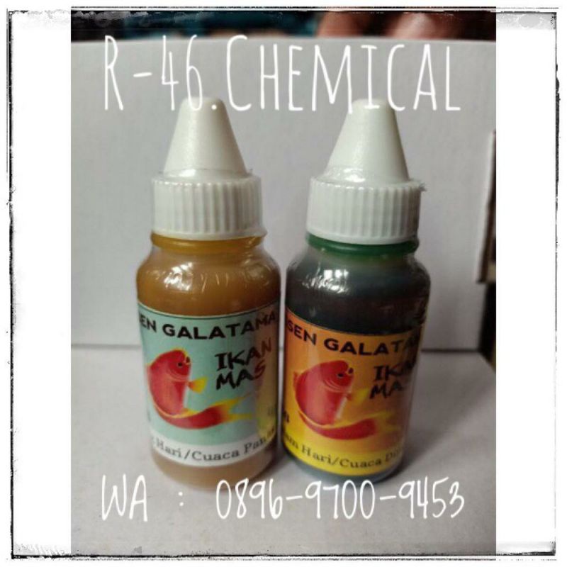 Essen Ikan Mas Galatama Galapung/Essen Jahat R46 Khusus Ikan Mas