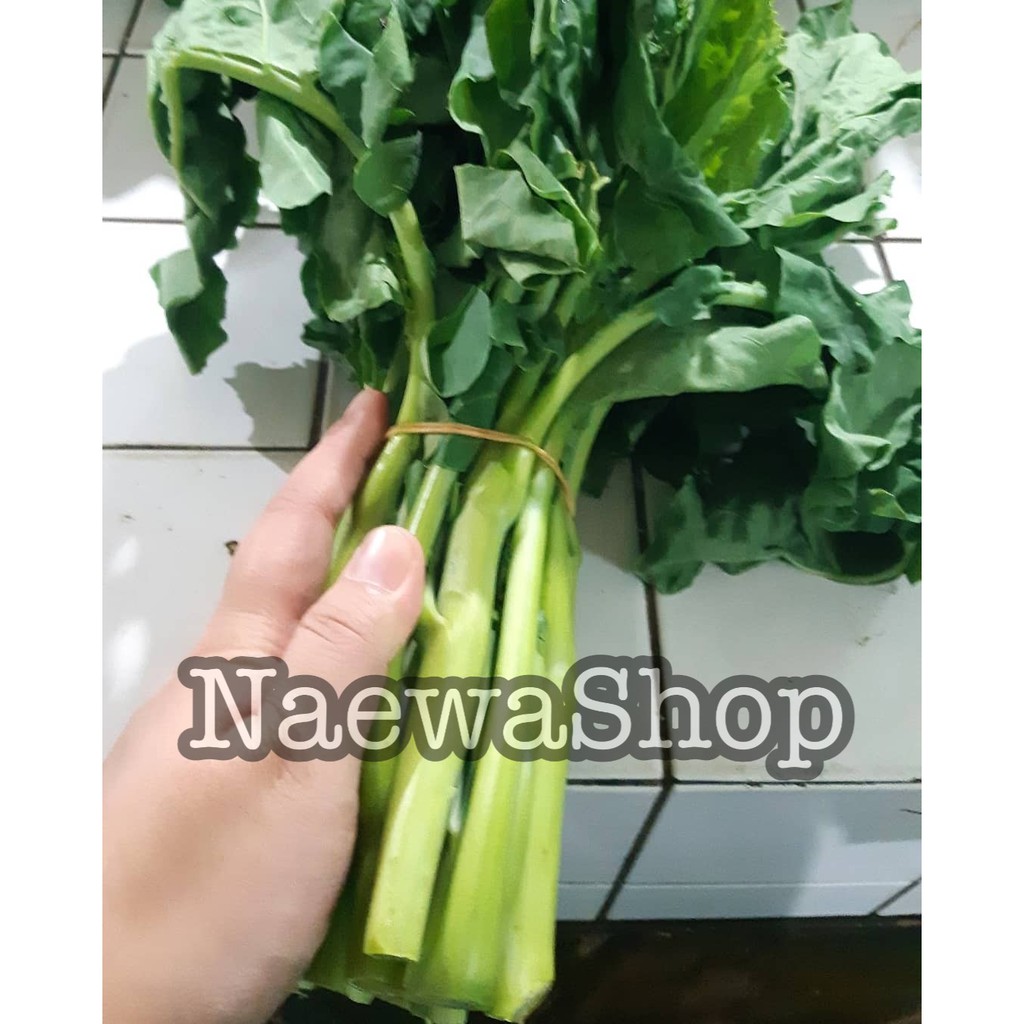 

Kailan Baby 500gram Segar Murah Bergizi