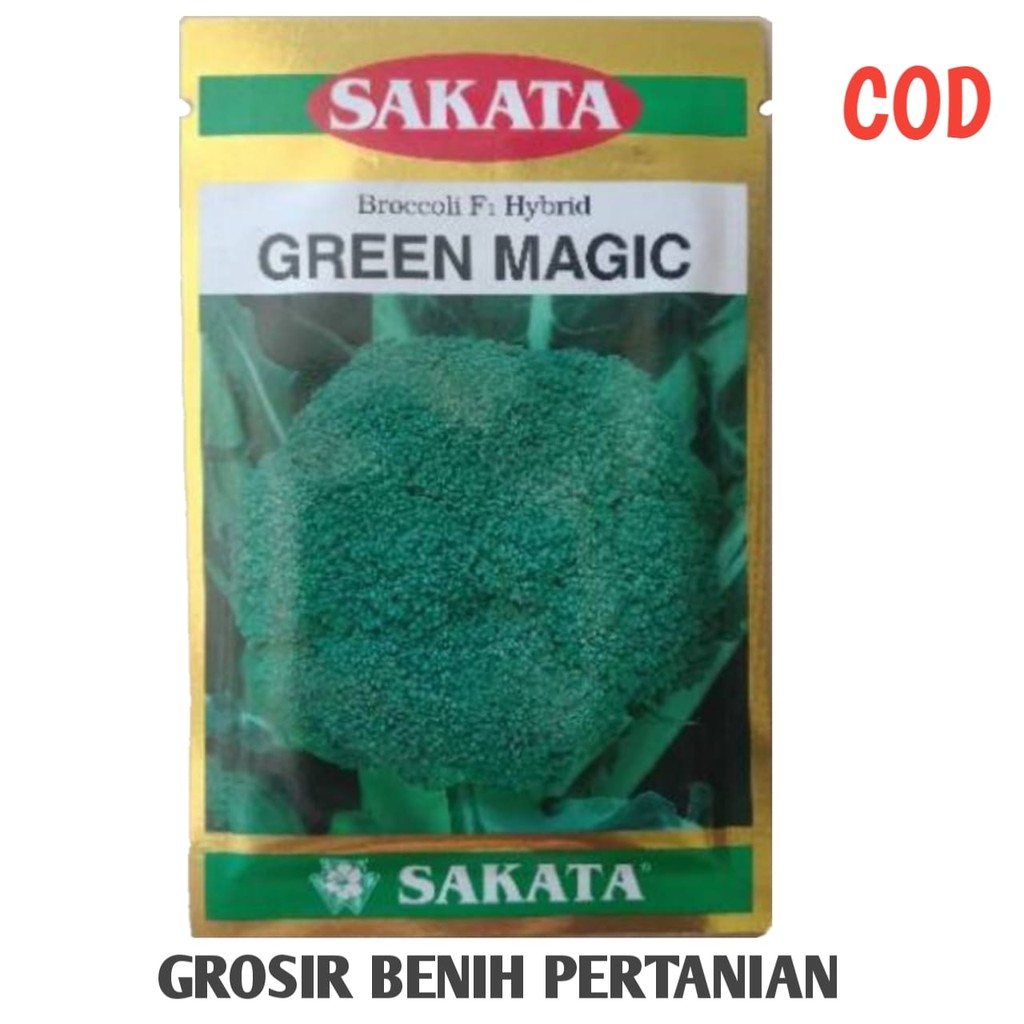 Benih Brokoli Hijau Green Magic Bibit Sakata isi 2000 biji