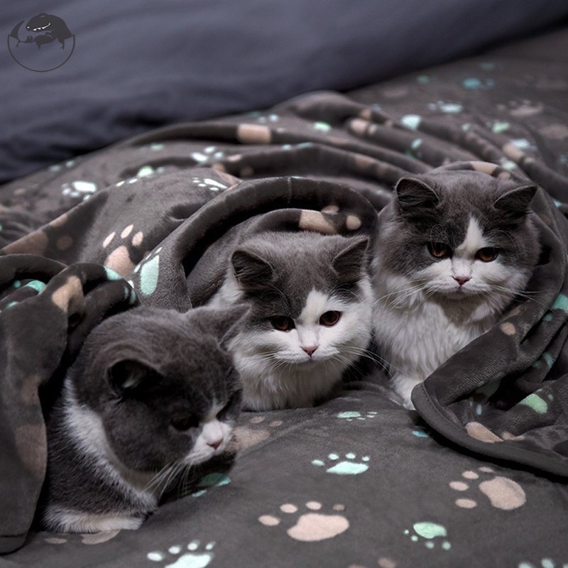 Selimut kucing - selimut hangat hewan kucing anjing kelinci ukuran besar