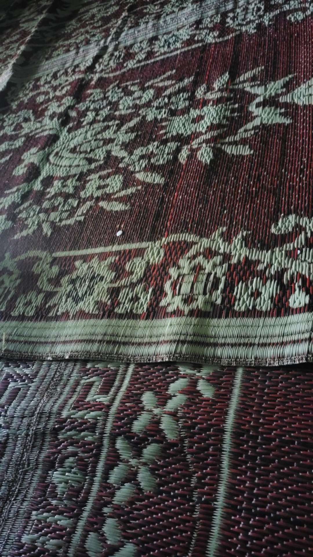 Tanaman Hias Philodendron  Xanadu Baby!!