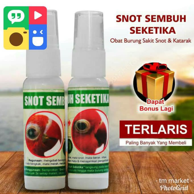 Silahkan Order Snot Sembuh Seketika Obat Burung Katarak