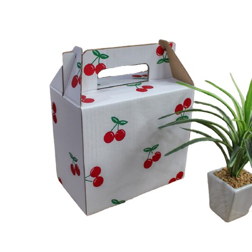 

KARDUS JINJING PUTIH MOTIF HAMPERS BOX PACKAGING DUS TENTENG WHITE GIFTBOX RED CHERRY KOTAK CERI (10 PCS)