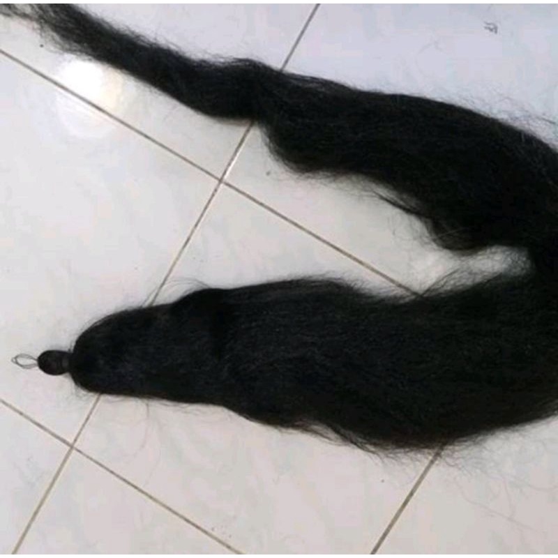 Rambut Cemara Tulang
