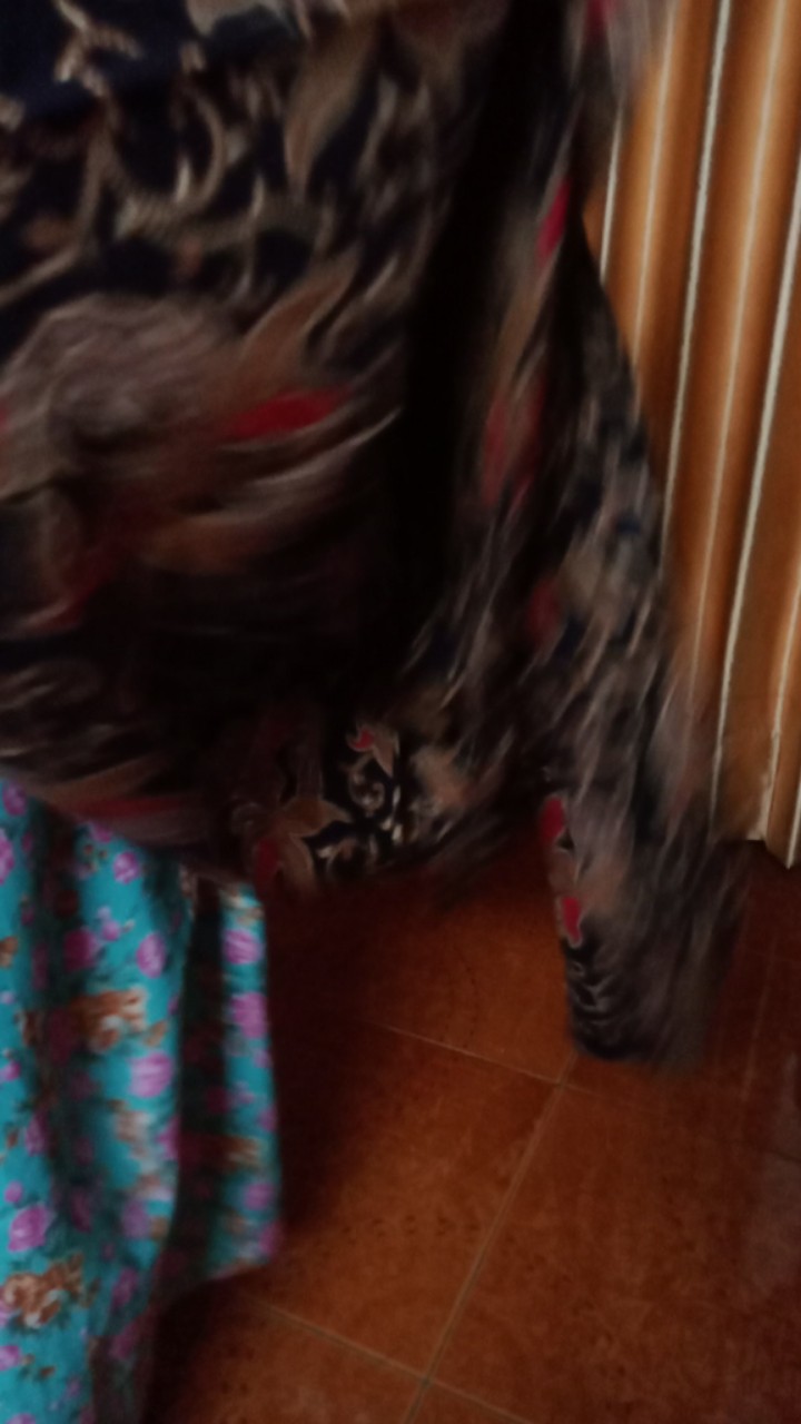 (premium) Kemeja Batik Pria Lengan Panjang Lapis Furing Pohon Cabe