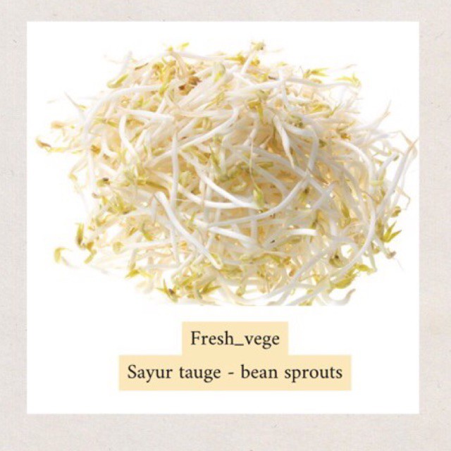 

sayur tauge pack